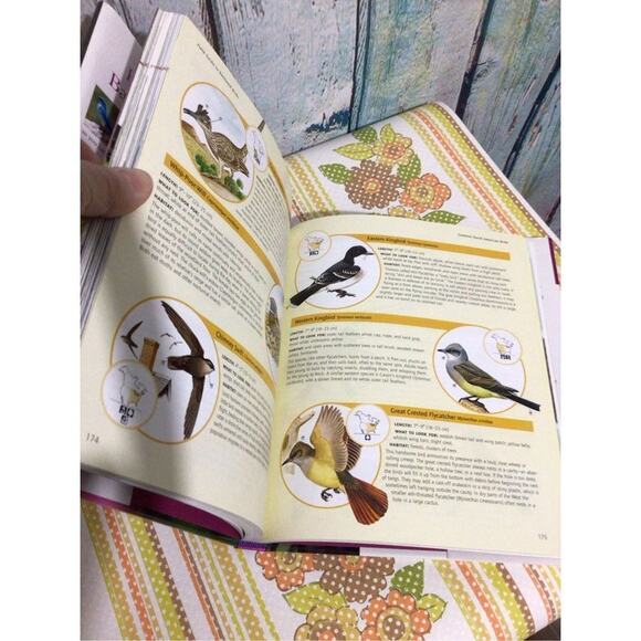 2004 Birds in your Backyard Birds & Blooms Softcover - Picture 5 of 16